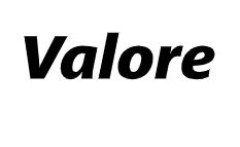 valore_logo_240x2402