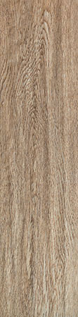 arte_new071.jpg