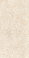 arte_new074.jpg