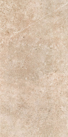 arte_new075.jpg