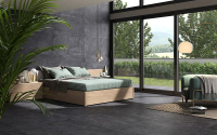 castelvetro_evolution_5.jpg