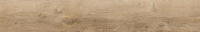 cerrad_20240119_54.jpg