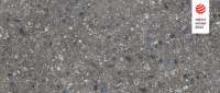 cerrad_20240119_76.jpg