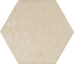 domino_bihara_3.jpg