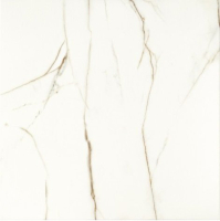 dominoartetubadzin_20231026_83.jpg