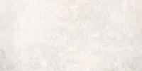 greywindl.jpg