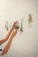 marazzi_appeal_2.jpg