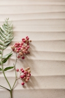 marazzi_appeal_8.jpg