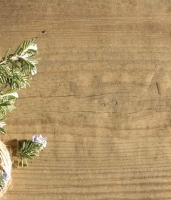 Remaster Ceramiche Plank 150 Fahatású járólap