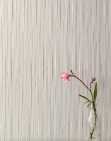 mutina_phenomenon_11.jpg