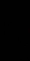 Paradyz Synergy Nero falicsempe 30 x 60