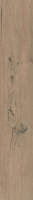 paradyz_soulwood_03.jpg