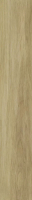 paradyz_specialwood_02.jpg