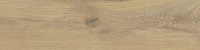 taigabei.jpg