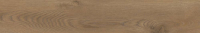 taigabro.jpg