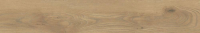 taigaho.jpg