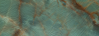 tubadzin_reef_1.jpg